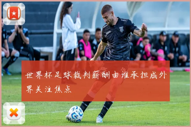 世界杯足球裁判薪酬由谁承担成外界关注焦点