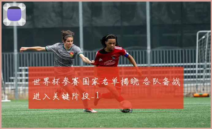 世界杯参赛国家名单揭晓 各队备战进入关键阶段_1