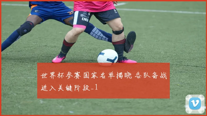 世界杯参赛国家名单揭晓 各队备战进入关键阶段_1