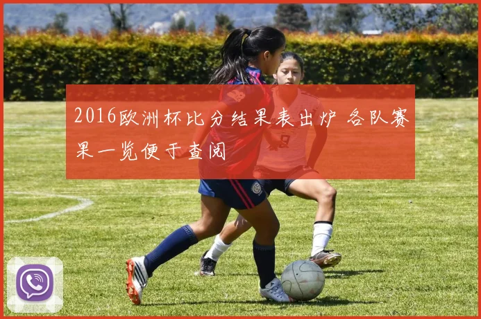 2016欧洲杯比分结果表出炉 各队赛果一览便于查阅