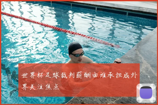 世界杯足球裁判薪酬由谁承担成外界关注焦点